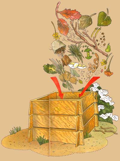 image 5-6