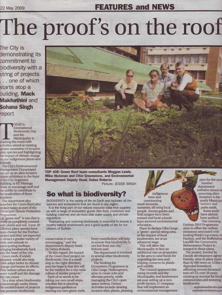 mercury city beat green roof pilot project durban