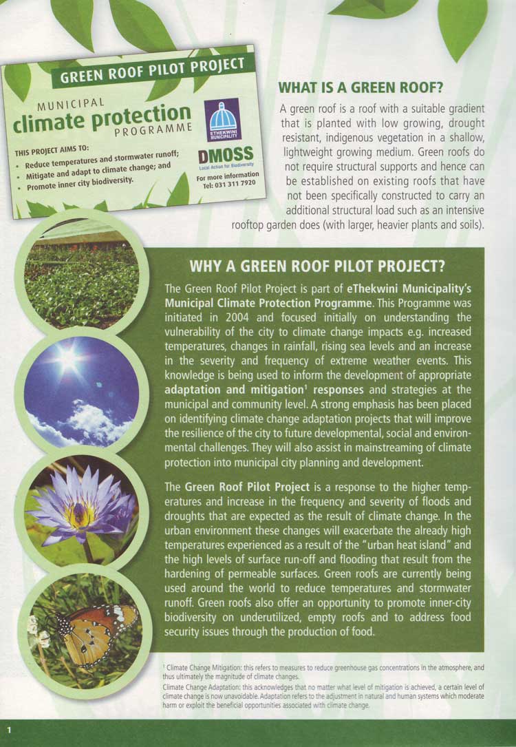 Green Roof Pilot Project Information Pamphlet page one