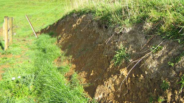 duck creek 2_5