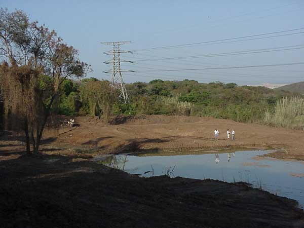 pond finiish