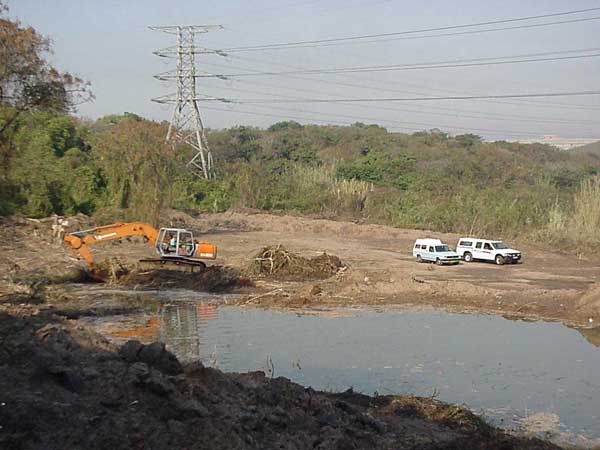 cato manor pond