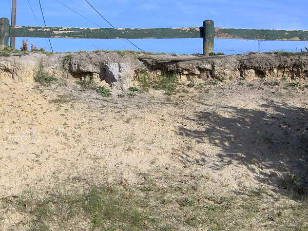 Extensive erosion damage on sports field bank
