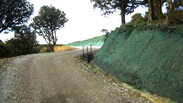hydroseeding at kaiwaka