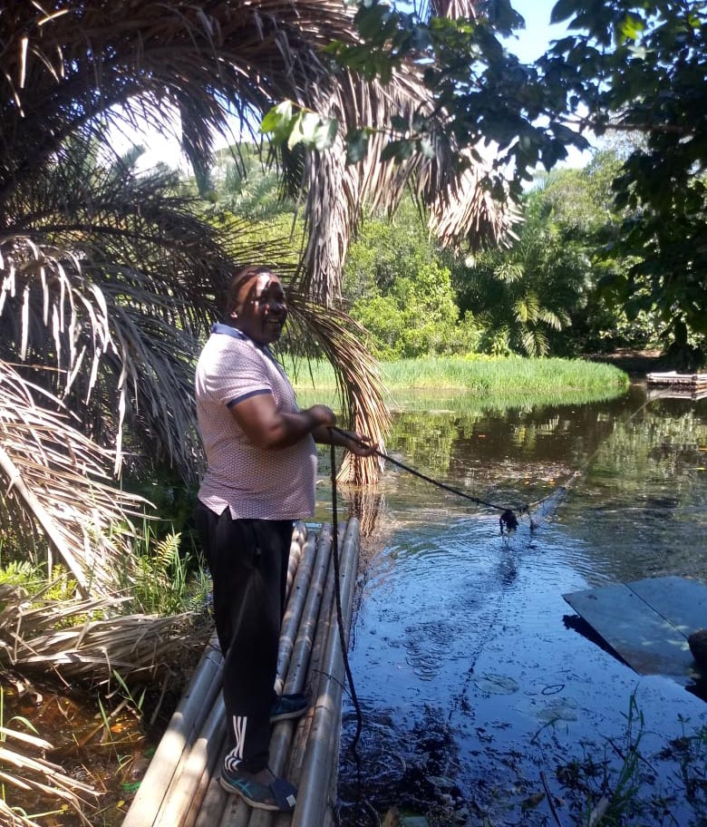 community pont made of the leaves of  raphia palm kosi bay palm crossing the amanzimnyama river emalangeni forest