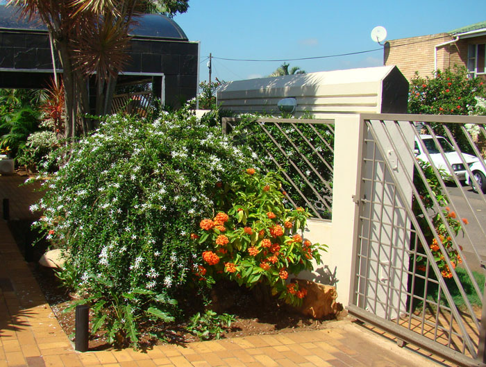 exotic landscape design durban ixora