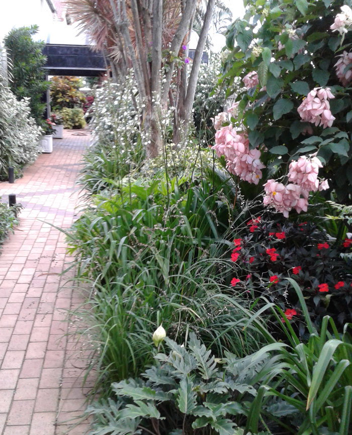 exotic garden design