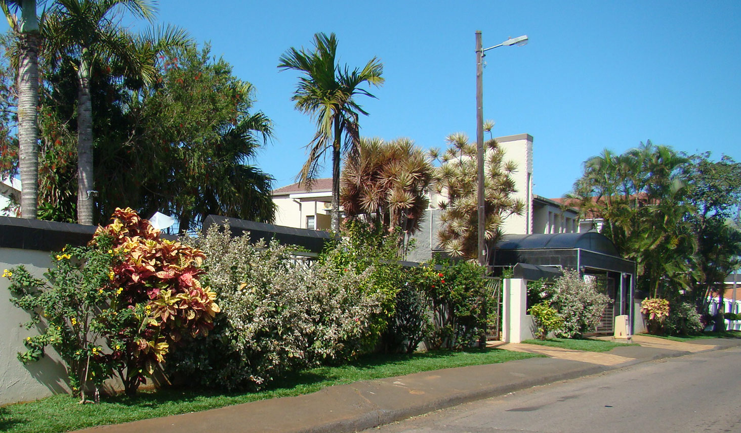 exotic landscape design spectacular landscaping ecoman durban