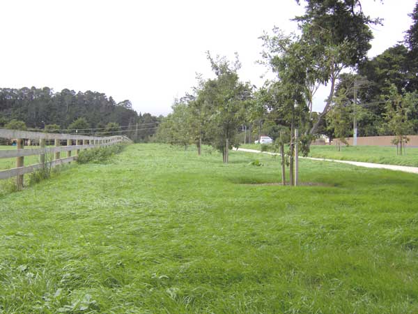 rosedale 3