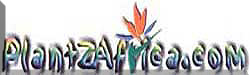 logo plantz africa